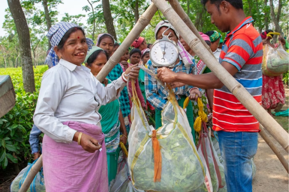 Social Impact Rewards Social Impact RewardsSocial Impact Rewards Social Impact RewardsSocial Impact Rewards Social Impact Rewards