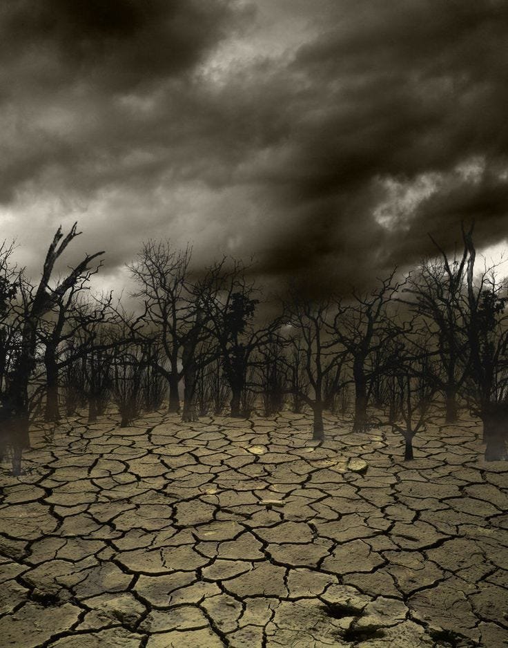 THE OTHER EL NIÑO