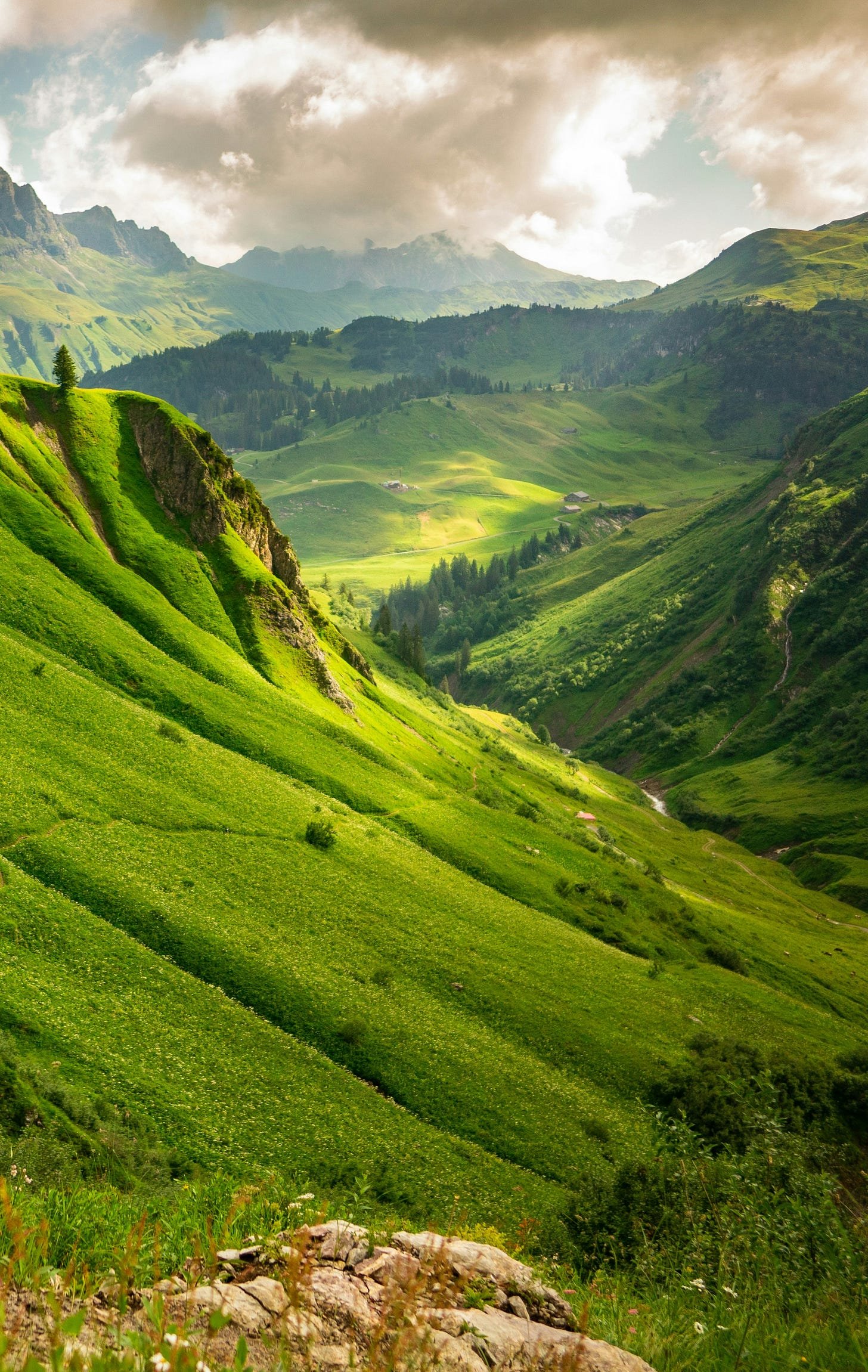 Tradeoffs, Markets, Adaptation: This Week’s Regeneration Research Brief