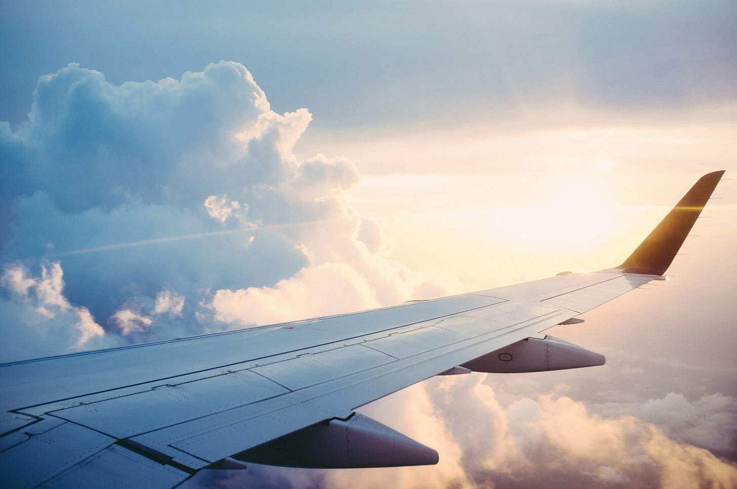 Banking, Biodiversity, Aviation: This Week’s Regeneration in the Headlines